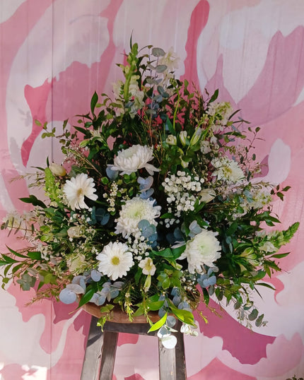 Collection image for: Condolences