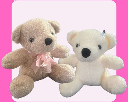 20cm Teddy (Assorted Colours)