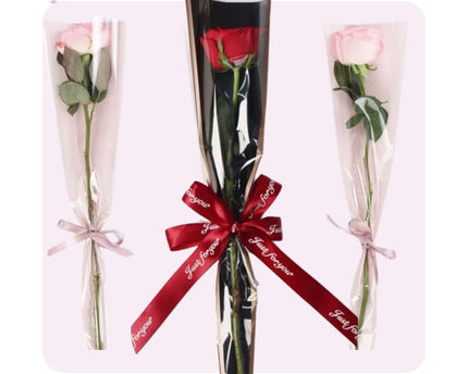 Wrapped Single Stem Rose