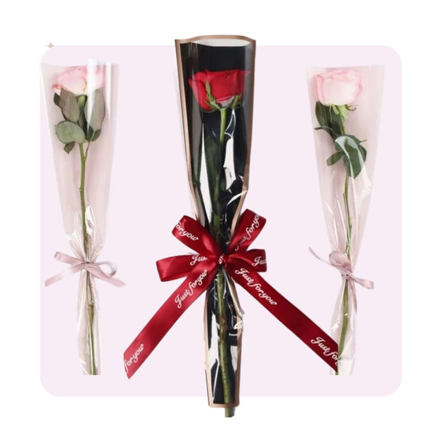 Wrapped Single Stem Rose