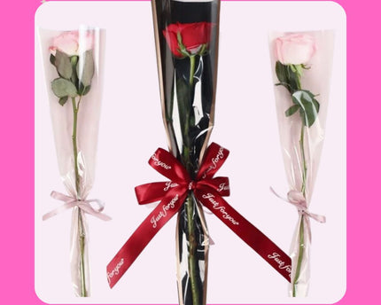 Wrapped Single Stem Rose