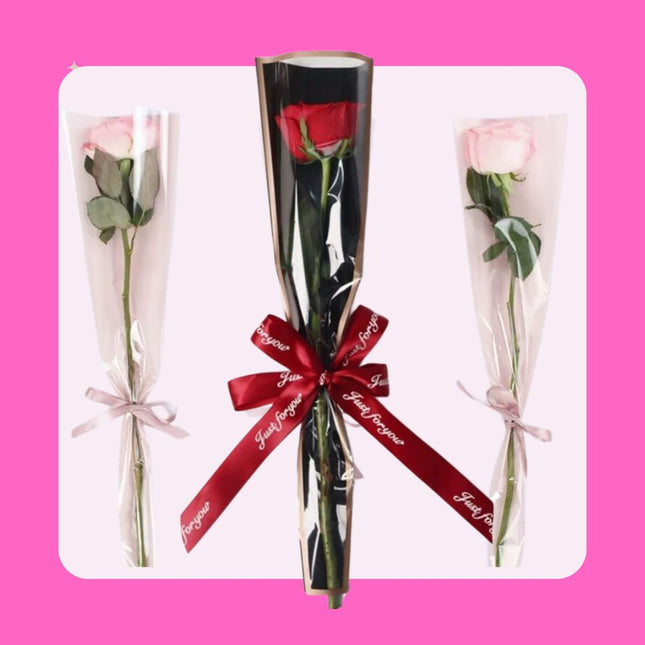 Wrapped Single Stem Rose