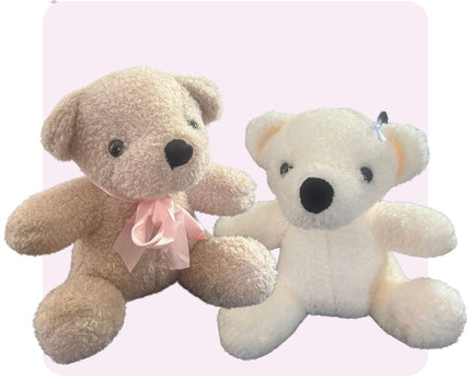 20cm Teddy (Assorted Colours)