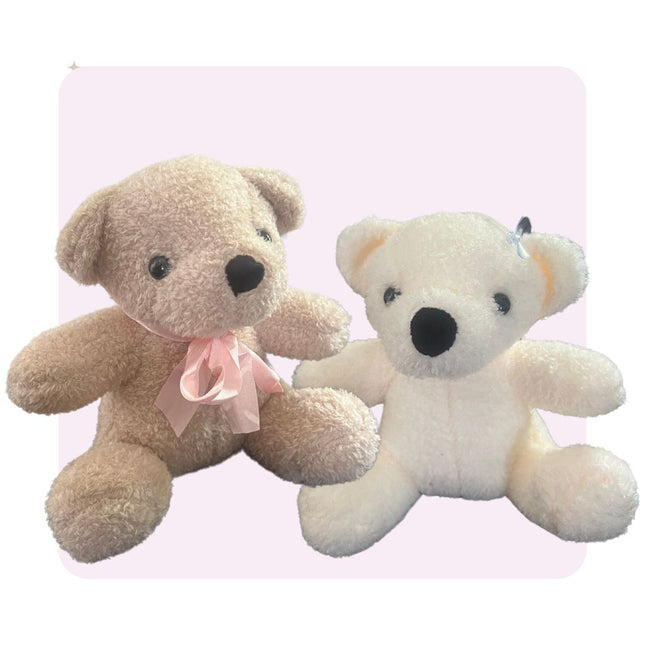 20cm Teddy (Assorted Colours)