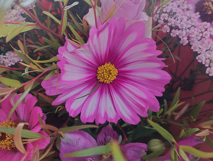 Mother's Day Flowers