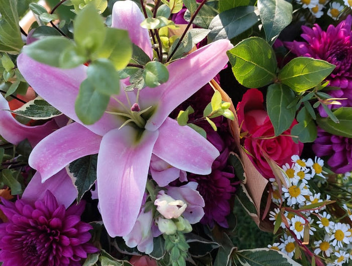 Find Your Favourites